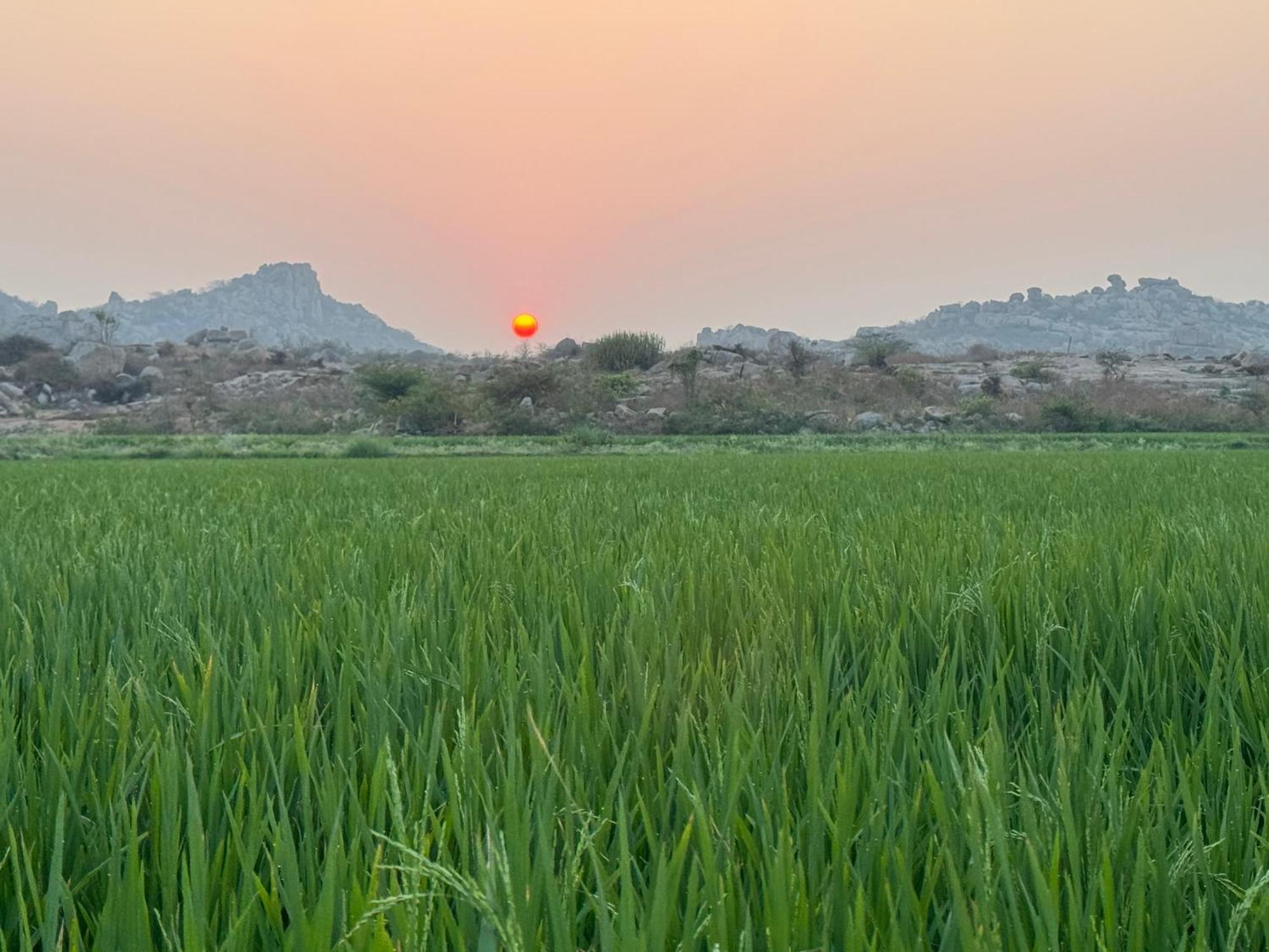 Hill Stone View Hampi Exterior foto